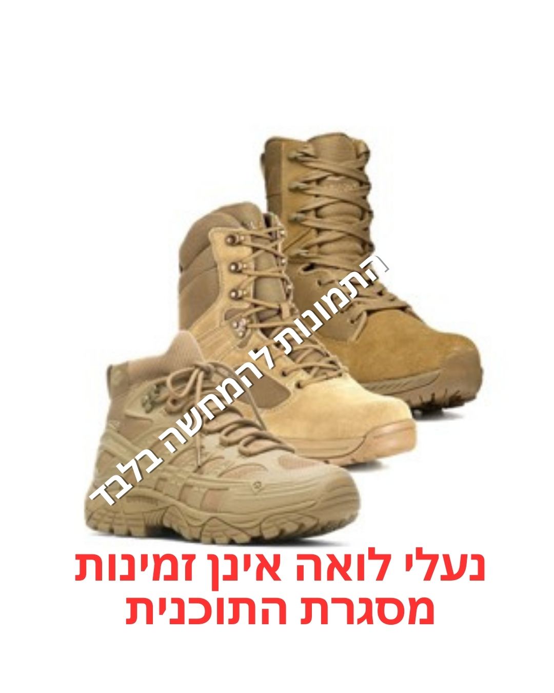 נעליים בצבע בז' ( Lowa לא נעלי )